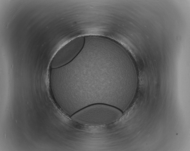 X0000112141077200908211348