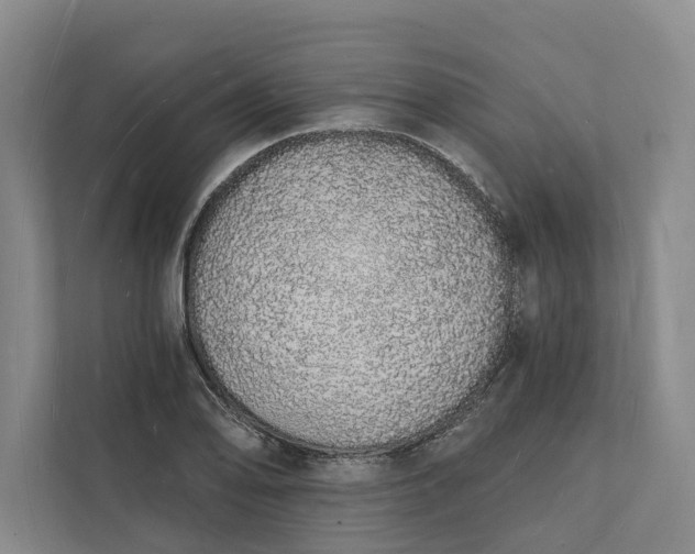 X0000112141078200908211348