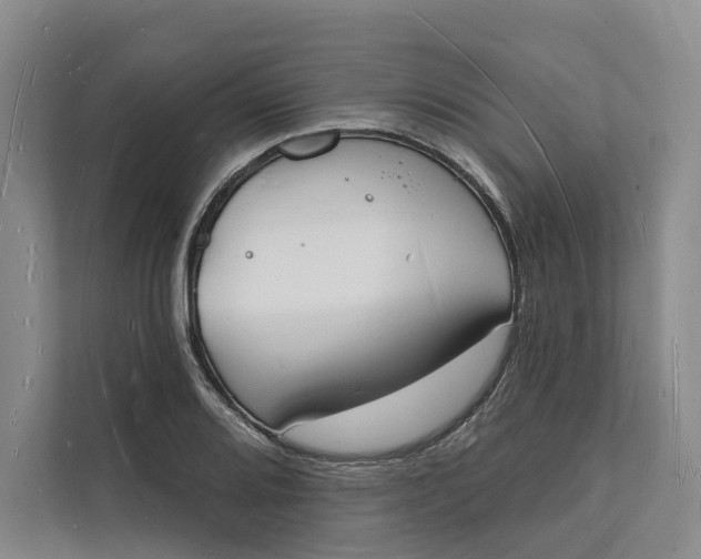 X0000112141080200908211348