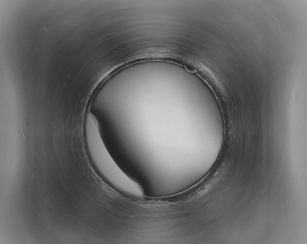 X0000112141081200908211348