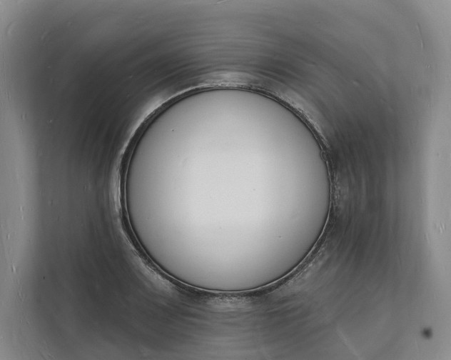 X0000112141083200908211348