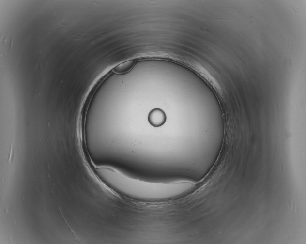 X0000112141084200908211348