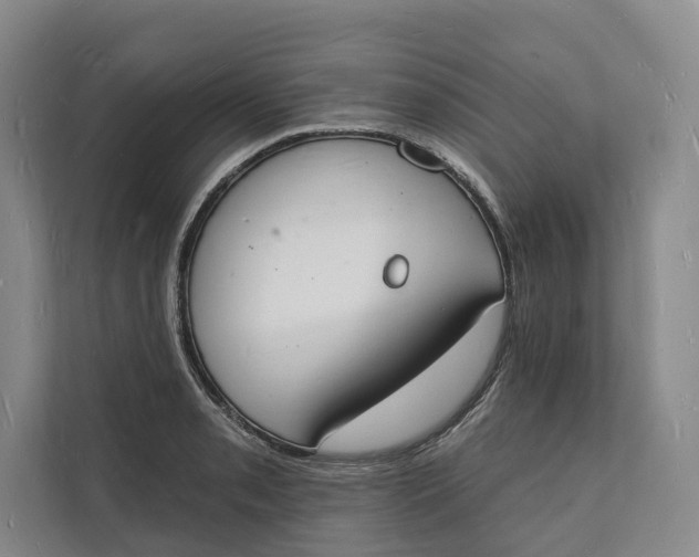 X0000112141085200908211348