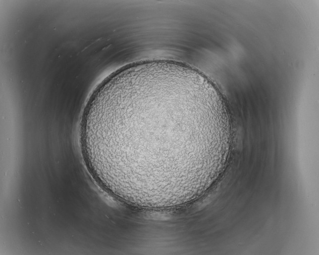 X0000112141086200908211348