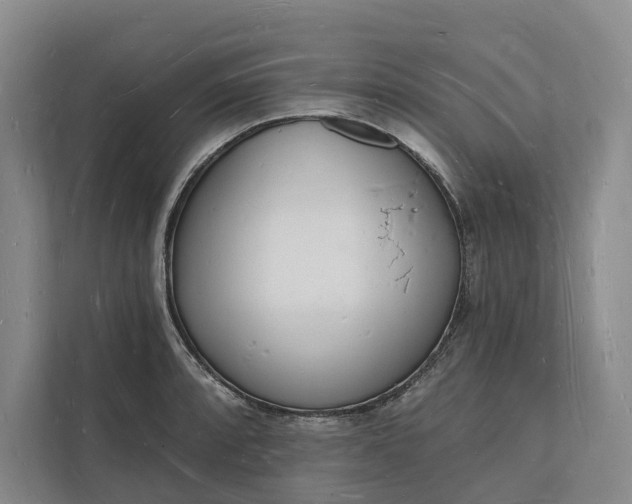 X0000112141088200908211348