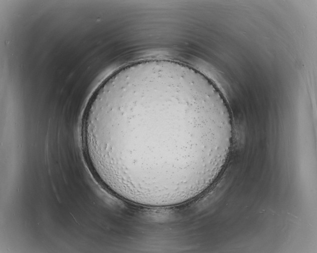 X0000112141090200908211348