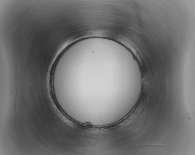 X0000112141091200908211348