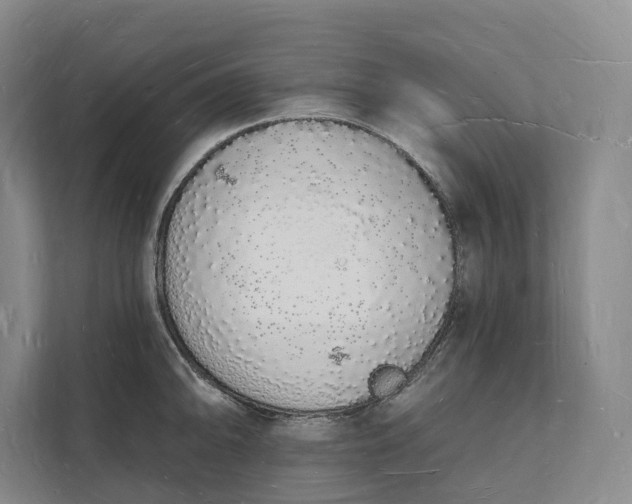 X0000112141094200908211348