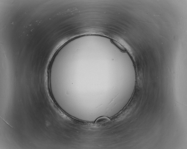 X0000112141096200908211348