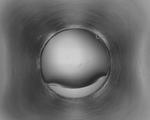 X0000112141097200908211348