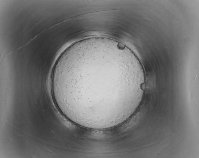 X0000112141098200908211348