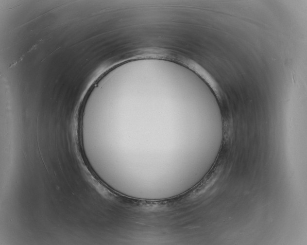 X0000112141099200908211348