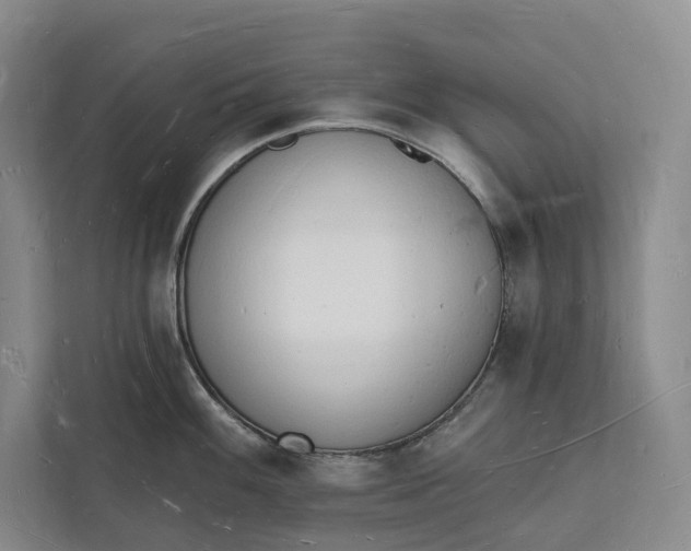 X0000112141100200908211348