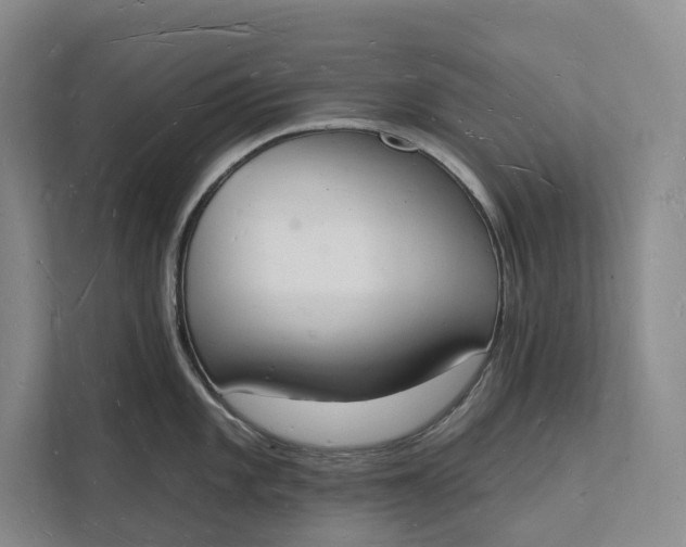 X0000112141101200908211348