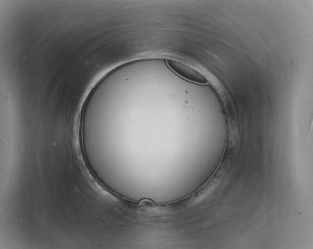 X0000112141102200908211348