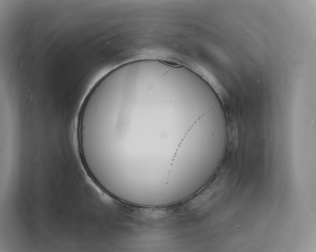 X0000112141103200908211348