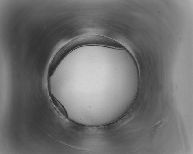 X0000112141104200908211348