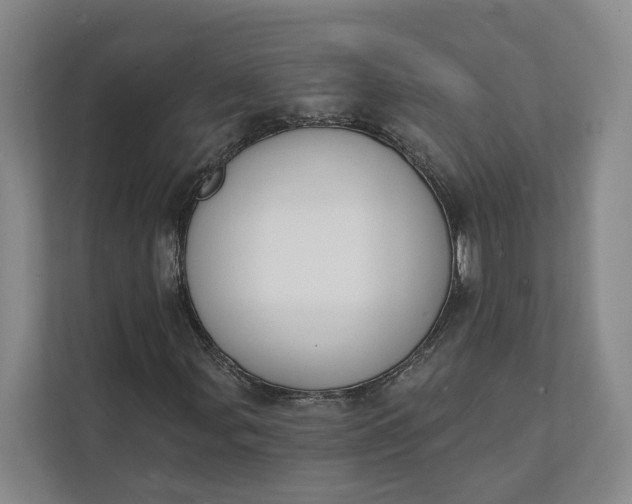 X0000112141107200908211347