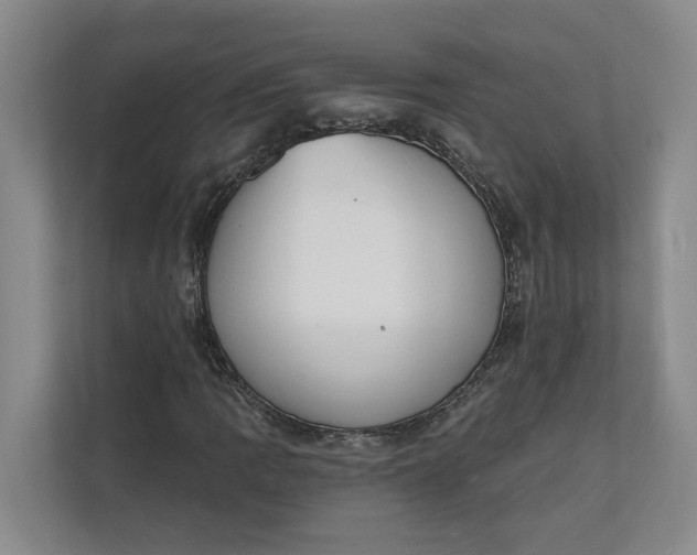 X0000112141109200908211347