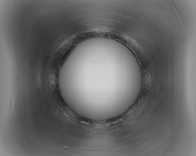 X0000112141110200908211347