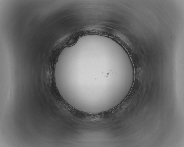 X0000112141111200908211347