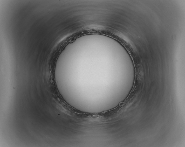 X0000112141112200908211347