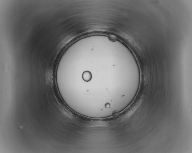 X0000112141113200908211347