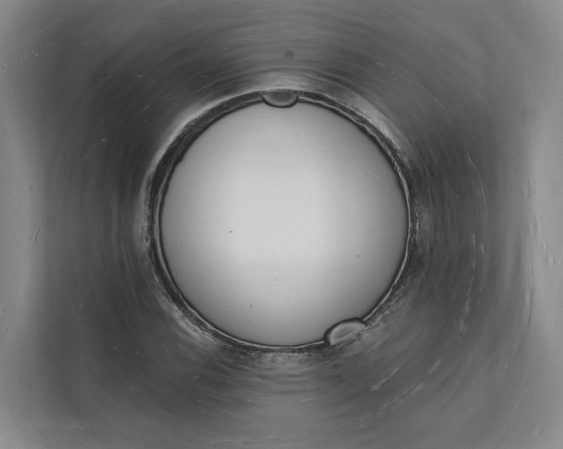 X0000112141116200908211347