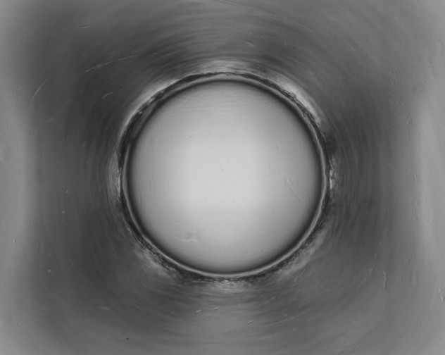 X0000112141117200908211347