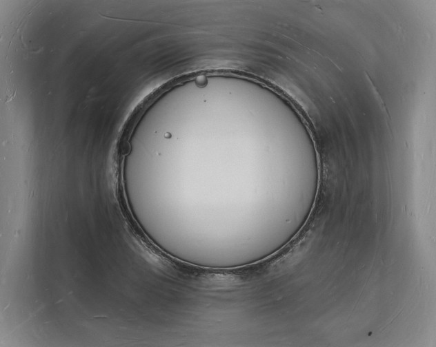 X0000112141119200908211347