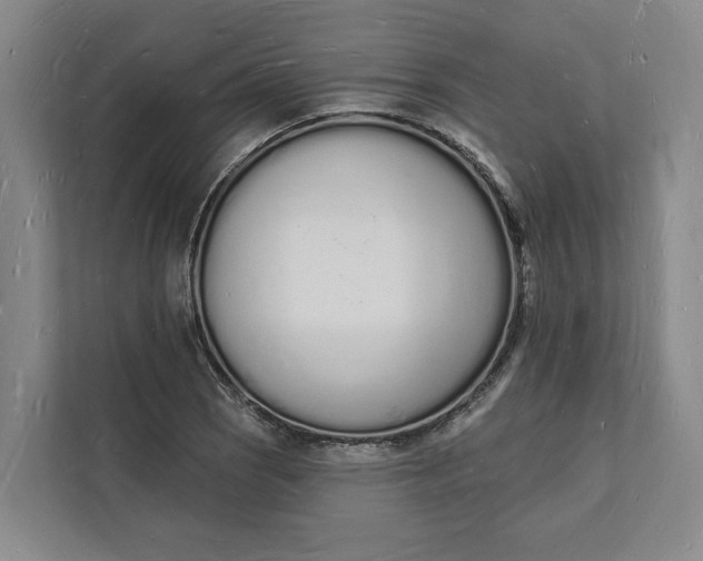 X0000112141121200908211347