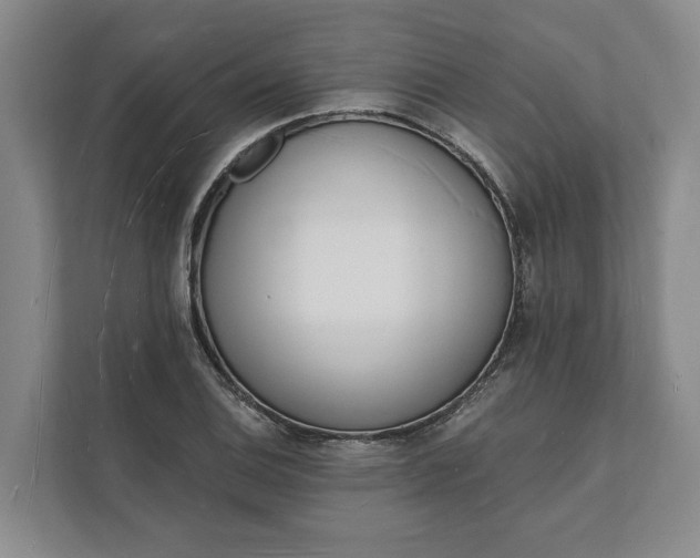 X0000112141124200908211347