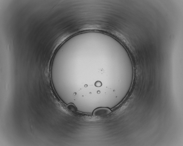 X0000112141129200908211347