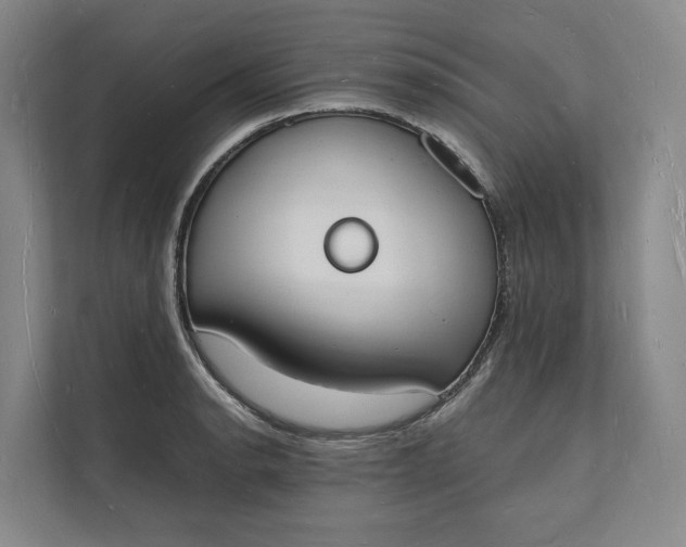 X0000112141134200908211347