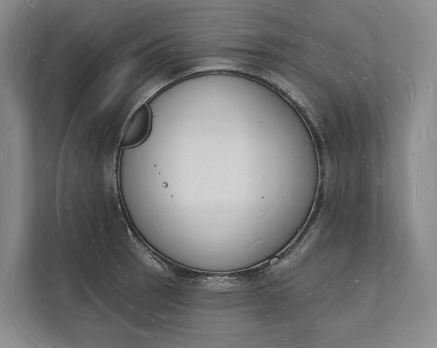 X0000112141137200908211347