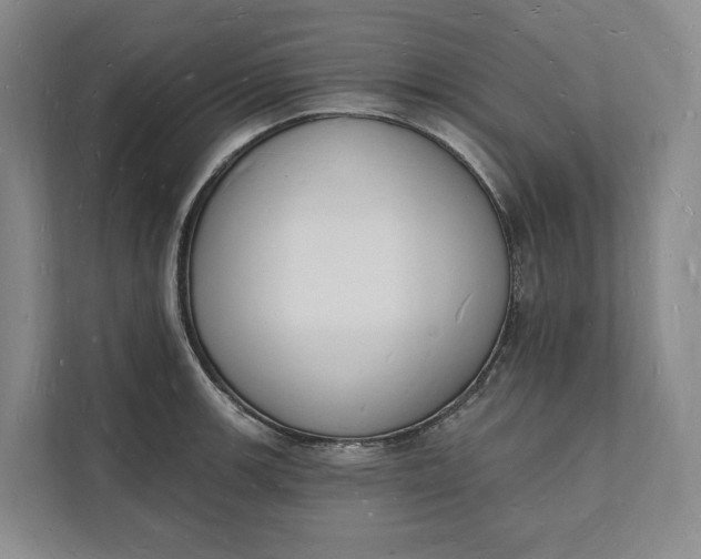 X0000112141139200908211347