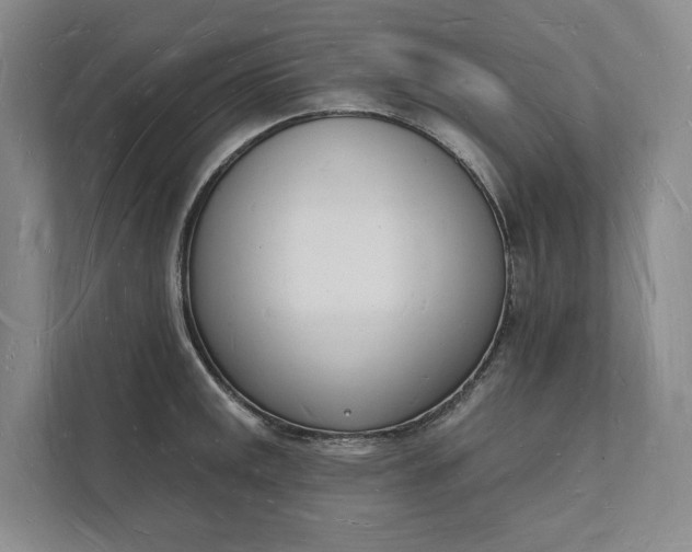 X0000112141141200908211347