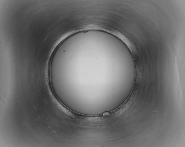 X0000112141142200908211347