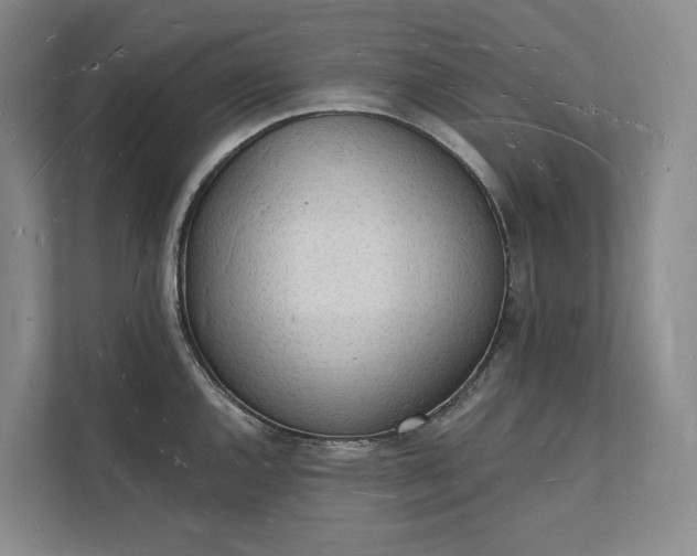 X0000112141144200908211348