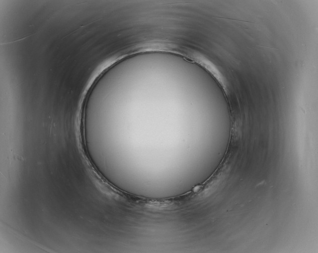 X0000112141146200908211348