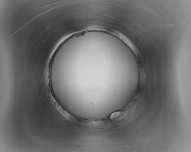 X0000112141148200908211348