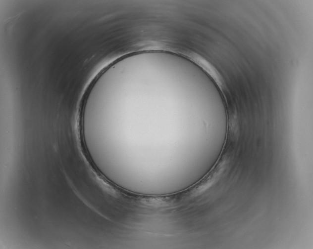 X0000112141149200908211348