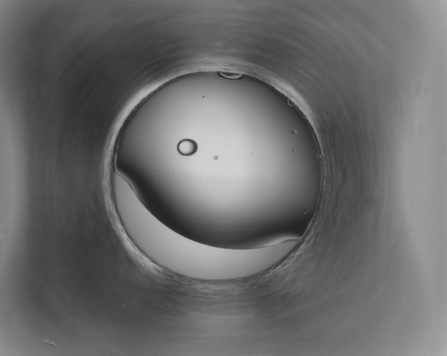 X0000112141152200908211348