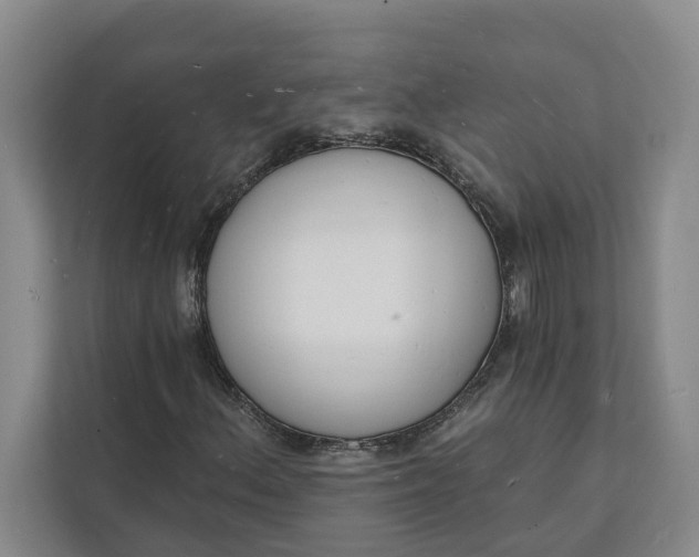 X0000112141156200908211347