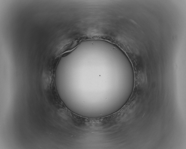 X0000112141157200908211347