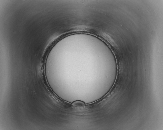 X0000112141164200908211347