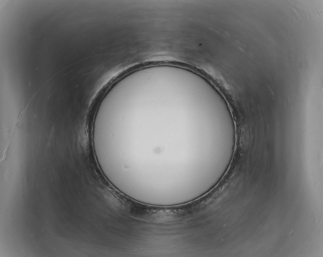 X0000112141167200908211347