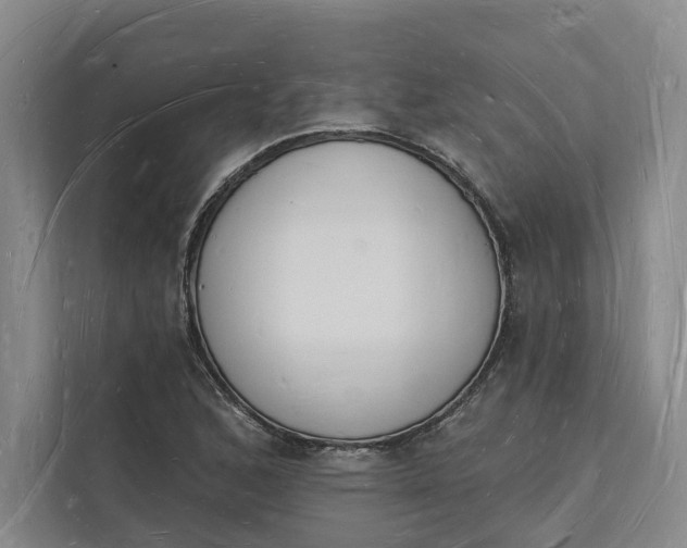 X0000112141168200908211347