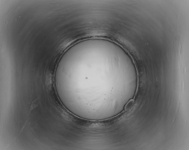 X0000112141169200908211347