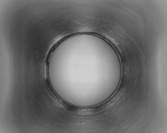 X0000112141171200908211347